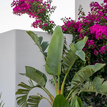 아파트 Alma Sunset *