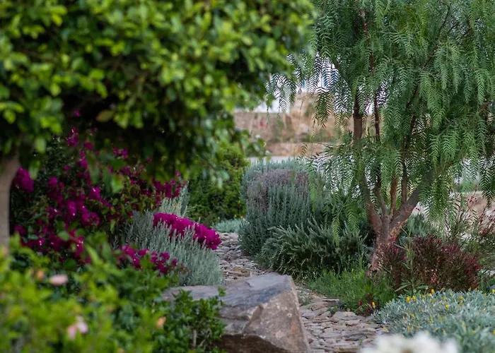 Alma Sunset Διαμέρισμα *