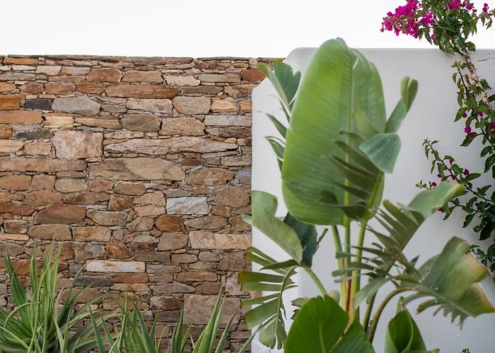 Alma Sunset Daire Chora (Ios)