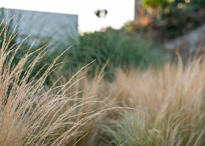 Alma Sunset Chora (Ios)